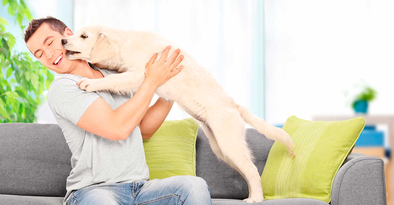 Tener un perro en casa nos hace más activos